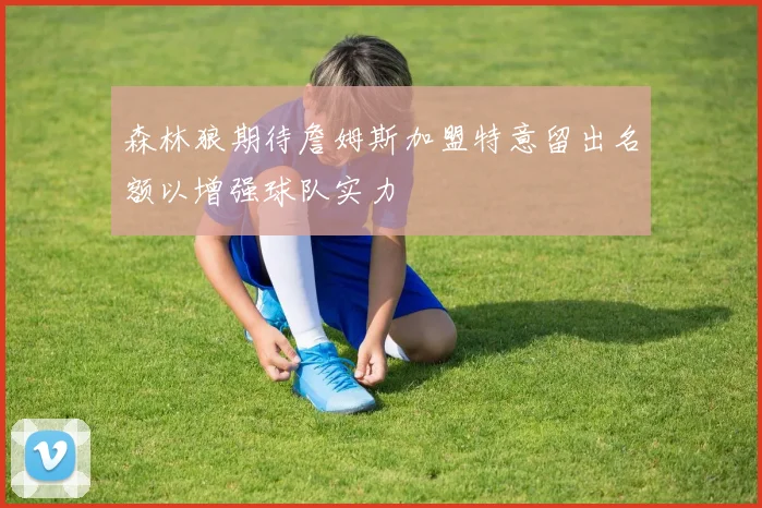 森林狼期待詹姆斯加盟特意留出名额以增强球队实力