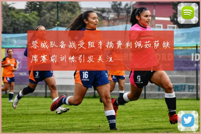 蓉城队备战受阻李扬费利佩茹萨缺席赛前训练引发关注